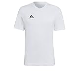 adidas Herren ENT22 Tee T-Shirt, Weiß, M