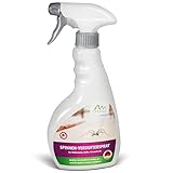 GARDIGO® Spinnenvertreiber Spinnenspray I Insektenspray zur präventiven Spinnenabwehr I Made in Germany I 500ml I Eukalyptus-Citriodora-Öl I Spinnen Spray für Küche Schlafzimmer Badezimmer Keller