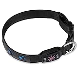 Lodokdre LED Licht Halsband für Hunde Wiederaufladbares Hundehalsband Leuchthalsband 7 Farbwechsel Halsband für Hunde M