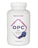 Nutritec OPC-Traubenkernextrakt mit Vitamin C aus Acerola Kirsch Extrakt, 120 Kapseln