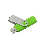 OMIAJE Schöne kleine Kapazität USB Flash Drive 1 GB USB 2.0. Memory Stick Stilvolle Schwenkstift-Laufwerk Tragbare U-Festplatte Green 1 PC Kostengünstig wangbingyi (Color : Green)