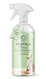 Annimally Enzymreiniger Spray 750ml gegen Katzenurin & Hundeurin XXL Packung - Tier Geruchsentferner gegen Urin Geruch - Enzym Flecken- und Geruchsentferner