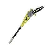 Ryobi 5133002228 Elektro-Hoch-Entaster, 750W RPP750S, 750 W, Grün, Grau, Schwarz