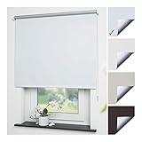 Liedeco® Rollo, Fenster Rollo, Kettenzug-Rollo / 182 x 180 cm (Breite x Höhe), weiß / Thermo-Beschichtung, Verdunkelnd, Blickdicht / Breiten 60-200 cm / Variable Montage möglich