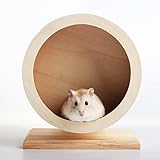 Seahelms Hamsterrad aus Holz für kleine Haustiere, geräuscharmes Laufrad für Ruhe und Bewegung von syrischen Hamstern, Rennmäusen, Ratten, Mäusen, Zwergen, kleinen Chinchilla(S, Φ/ 15 cm)