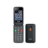 GL590 Dual SIM