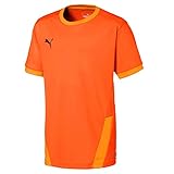 PUMA Kinder teamGOAL 23 Jersey jr Trikot, GOLDEN Poppy-Flame Orange, 116