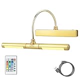 HONWELL Drahtlose Bilderleuchte LED, Bilderlampe mit Fernbedienung, Drehbarer LED Lichtkopf mit Timer 180° Schwenkarm Wiederaufladbare Dart beleuchtung Kabellos Malleuchte zum Malen von Bildern,Gold