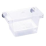 Aufzuchtbehälter Aquarium Garnelen Fisch Ablaichkasten Aquarium Klein Aquarium Becken Set mit 2 Saugnapf Transparent Kunststoff Fisch Züchter Box Zucht Isolation Aquarium Zubehoer Set-Kleine Größe