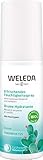 WELEDA Bio Feigenkaktus Erfrischendes Feuchtigkeitsspray, belebendes Naturkosmetik Spray für bis zu 12 Stunden intensiver Feuchtigkeit zur Pflege von müder Haut (1x 100ml)