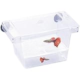 Netspower Aufzuchtbehälter Ablaichstation Breeding Box Ablaichkasten Zucht Isolation Box für Fische Garnelen mit 2 Saugnapf, Transparent Brutkasten Zuchttanks Kunststoff Fisch Züchter Box für Aquarium