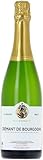 Caves Bailly-Lapierre Crémant de Bourgogne Tasteviné Brut, Crémant aus Frankreich (1 x 0.75l)