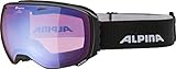 ALPINA Unisex - Erwachsene, BIG HORN Q-LITE Skibrille, black matt, One Size