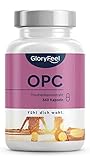 OPC Traubenkernextrakt 360 Kapseln - 1.000mg reines OPC pro Tagesdosis + Vitamin C - 95% Echt-OPC-Gehalt - Aus Original französischen Weintrauben - Laborgeprüft, Vegan in Deutschland hergestellt