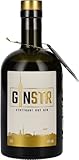 GINSTR - Stuttgart Dry Gin 44% vol (1 x 0.5 l)