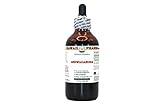 Hawaii Pharm Europe Ashwagandha (Withania Somnifera) Pulverisierte Wurzel Flüssigextrakt Tinktur 120 ml