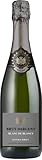 Brut Dargent Blanc de blancs Extra-Brut - Qualitativ hochwertiger Blanc de Blancs Extra Brut Sekt aus Frankreich (1 x 0.75 L)