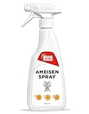 Bugpower Anti Ameisen Spray 500ml - für innen & außen - hochwirksames Mittel gegen Ameisen - schnelle & langanhaltende Wirkung - hinterlässt Keine Flecken