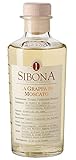 Sibona Grappa di Moscato 40% vol. (1 x 0,5l) – Fruchtiger Grappa aus Italien