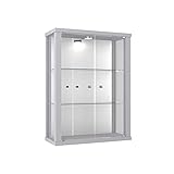 K-Möbel Glasvitrine in Silber (80x60x25 cm) mit 2 höhenverstellbaren Glasböden aus ESG, LED und Spiegel; beleuchtet; perfekt für Sammler;