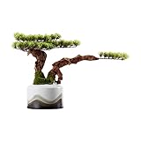 zlw-Shop Künstliche Pflanzen Künstliche Bonsai Willkommen Kiefer Wohnzimmer Dekoration Gefälschter Baum Topfpflanze Silikon Konifere Weiße Keramik Blumentopf Heimdekoration Künstliche Flora