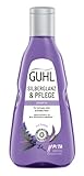 Guhl Silberglanz & Pflege Shampoo - Inhalt: 250 ml - Anti-Gelbstich und Pflege für graues und blondes Haar