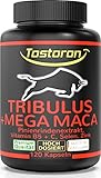 Tostoron TRIBULUS + MEGA MACA extra stark + hochdosiert + Pinienrinden Extrakt, Vitamin C + B5, Zink, Selen, 120 Kapseln, 1 Dose (1x100g) laborgeprüft, hol dir den TOSTORON HAMMER direkt nach Hause!