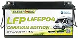 Electronicx LiFePO4 Caravan Edition Batterie 200Ah 12,8V Versorgungsbatterie 2560 Wh mit Bluetooth-Funktion Lithium-Eisenphosphat Akku inklusive App BMS