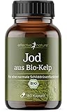 Hochdosierte Jod Kapseln - 180 Kapseln, 6-Monatsvorrat - Natürliches Jod aus Bio-Kelp - 150 mcg Jod pro Kapsel - Für die Normale Schilddrüsenfunktion