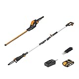 WORX 18V(20V MAX) Akku Teleskop Heckenschere & Hochentaster WG908E, PowerShare, 2,0 Ah, Dual-Schnittklingen, automatischer Kettenspannung, automatische Ölschmierung, 1 Std. Schnellladegerät