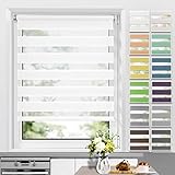 Allesin Doppelrollo Klemmfix ohne Bohren & mit Bohren, (50x150cm Weiß), Duo Rollos für Fenster und Tür, Klemmrollo Fensterrollo lichtdurchlässig und verdunkelnd, Sichtschutz und Sonnenschutz