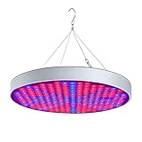 UISEBRT 50W Pflanzenlampe Pflanzenleuchte LED Vollspektrum - Grow lampe Wachstumslampe 250 LEDs Rot&Blau für Zimmerpflanzen Blumen und Gemüse tageslicht (50W)