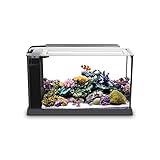 Fluval 10528A1 Evo V Aquarium-Set für Aquarien, 5,7 l, Schwarz