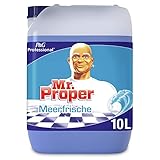 Meister Proper Professional Meeresfrische Allzweckreiniger, 10 L