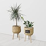 Daytana Rattan Blumenständer mit Holz-Beinen im 2er Set | Pflanzenständer aus Hochwertigem Material | Blumentopf Pflanzkübel 2 in 1 Wohnzimmer Deko | Balkon Deko Blumenhocker | Garten