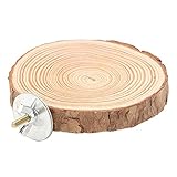 Runde Holz Sitzstangen für Vogel Papagei Nymphensittich Käfige Kork Sitzbrett Papagei Holzständer Vögel Barsch Plattform für Vögel Wellensittich Nymphensittich(10cm)