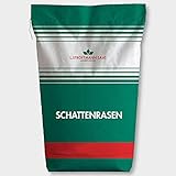 Stroetmann Rasetta Schattenrasen 10 kg schattige und teilschattige Lagen