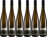 Reh Riesling SCHIEFERTERRASSEN 2021 Halbtrocken (6 x 0.75 l)