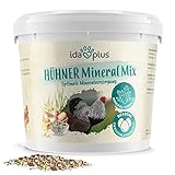 Ida Plus – Hühner-Mineral-Mix 5 Kg – einzigartige Futterkalk Mineralstoffmischung mit Anis – wertvollen Mineralien für bessere Eierschalenqualität – enthält Muschelkalk & Calcium – für Hühner & Küken