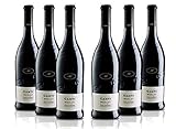 CANTI Merlot Terre Siciliane IGT Italienischer Rotwein trocken - (6 x 0.75 l)