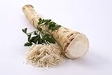 Meerrettich | Kren | Horseradish - Frische Stangenware - gewaschen [pro Kilo]