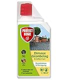 PROTECT HOME Dimaxx Grünbelag-Entferner, Steinreiniger gegen Grünbeläge, Moose und Algen auf Wegen und Plätzen, 1 Liter Konzentrat für 160 m²