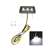 SHJOEE Led Kennzeichenbeleuchte Universal Motorrad Nummernschildbeleuchtung 12V Mini Micro Kennzeichenbeleuchtung Nummernschild Beleuchtung Motorrad