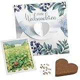 10 x Anzuchtset Glücks-Klee'Winterlandschaft' inkl. Verpackung | Kleine Geschenke zu Weihnachten für Mitarbeiter und Kollegen