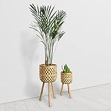 Daytana Bambus Blumenständer mit Holz-Beinen im 2er Set | Pflanzenständer aus Hochwertigem Material | Blumentopf Blumenhocker 2 in 1 Deko Wohnzimmer | Blumensäule für Pflanzentopf | Vase | Garten