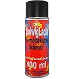 Thermolack 1x Spraydosen 400ml Schwarz Auspuff Motor Autolack