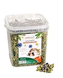 petifool Winterfit 430g - Ergänzungsfutter für Nager - natürliches Nagerfutter für Kaninchen, Meerschweinchen, Hamster, Chinchilla & mehr - ohne künstliche Zusätze - 100% Natur - artgerechtes Futter