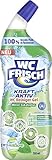 WC FRISCH WC Reiniger Gel Kraft Aktiv Pro Nature Minze-Eukalyptus (750 ml), Toilettenreiniger mit 4-fach Aktivstoff-Kombination, 100% recyceltes Plastik im Flaschenkörper