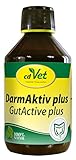 cdVet Naturprodukte DarmAktiv plus 250 ml - Hund, Katze - Ergänzungsfuttermittel - Stärkung des Immunsytsems - Unterstützung der Darmflora - Bekämpfung von Krankheitserregern - Gesundheit -