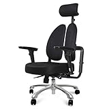 Schreibtischstuhl Computerstuhl, Ergonomischer Gesundheitsstuhl Mit Doppelter Rückenlehne, Computer-Chefstuhl Büro-Gaming-Stuhl (Farbe : Schwarz) (Schwarz)